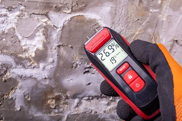 Best Fast Mold Removal  in Boyertown, PA